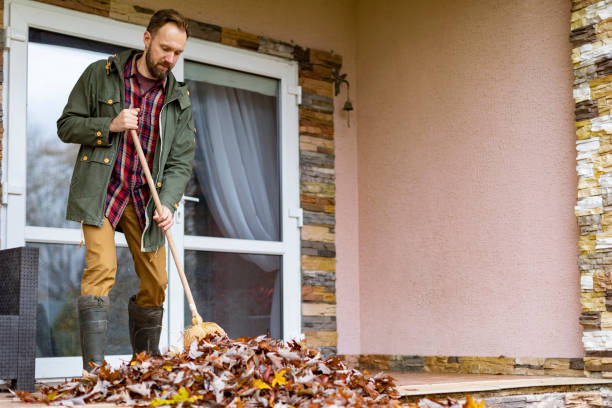 Best Dumpster Rental Services  in Malone, FL